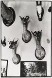 Zoe Leonard, "Trophies", Gelatinesilberabzug auf Agfa-Papier