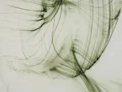 Wolfgang Tillmans, Auktion 405, Los 1069, 2004