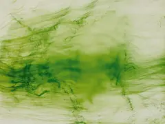 Wolfgang Tillmans, Auktion 405, Los 1068, 2003
