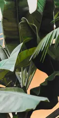 Auktion 405, Los 1007 by Eberhard Havekost, 2003, Öl auf Leinwand, sold Dec 2017
