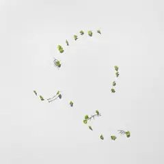 Jim Hodges, Wa Wa Wa, 1995, silk, plastic and pins, in 20 parts