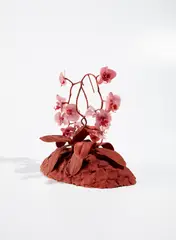 Farrah's Phalaenopsis, Version I by Keith Edmier, 2000, dental acrylic and acrylic paint, offered Sep 2020