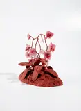 Keith Edmier, Farrah's Phalaenopsis, Version I, 2000, dental acrylic and acrylic paint