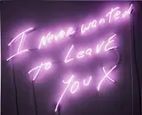 Tracey Emin, I Never Wanted to Leave You