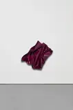 Aldo Chaparro, Acero 21, 2010, electrostatic paint on stainless steel
