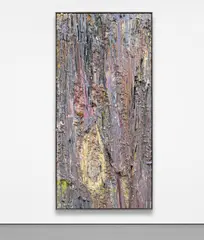 Larry Poons, Panamar, 1984, acrylic, foam and paper on canvas, in artist's frame