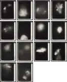 Sigmar Polke, Untitled