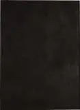 Glenn Ligon, Stranger in the Village (excerpt) #5