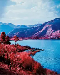 Seen and Not Seen by Richard Mosse, 2012, Chromogenic print, offered Dec 2020