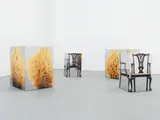 Urs Fischer, Pineapple / Melon