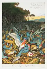Visitation by Walton Ford, 2004, Etching with aquatint and drypoint in colors, on Somerset Satin paper, with full margins, sold Jul 2020