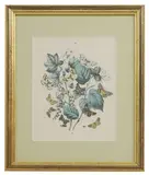 William Forsell Kirby, Untitled, 'European Butterflies and Moths' a set of twelve botanical lithograph prints