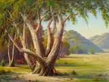 Stately Eucalyptus by Paul Grimm, oil on canvas, offered Apr 2017