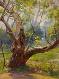 Sycamore Tree; Hazy Days, Trees; Eucalyptus Trees by a Fence (A group of 3) by Paul Grimm, oil on artist board, sold Apr 2017