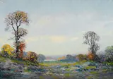 Anna Althea Hills, A California landscape
