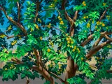 Friedolin Edward Kessler, Our Apricot Tree, acrylic on masonite