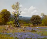 Porfirio Salinas, Texas Bluebonnets on a Promontory