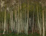 Gunnar Widforss, Aspen on the North Rim, watercolor and graphite on paperboard
