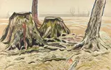 Charles E. Burchfield, Tree Stumps, watercolor and gouache on paper laid down on board