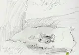Andrew Wyeth, Study for Tea for Two, 1988, pencil on paper