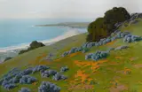 John Marshall Gamble, Wildflowers along the coast, oil on canvas
