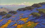 John Marshall Gamble, Poppies and lupine, Santa Barbara, oil on canvas