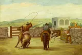 Ernesto Icaza Sánchez, Vaqueros roping a horse