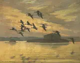 Harry Curieux Adamson, Black brant, Tomales Bay, oil on canvas
