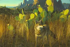 Stephen Lyman, Coyote with Prickly Pear Cactus, 1983, oil on masonite