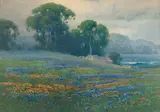 Percy Gray, Wildflowers along the coast, 1928, watercolor on paperboard