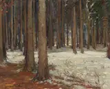 George Gardner Symons, Pines in the snow