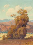 Rolling hills with sycamore tree by Maurice Braun, oil on canvas, sold Apr 2016