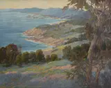 Raymond Nott, Laguna Coast in bloom, oil on board