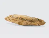 David Ireland, Untitled (Raise Contention), rolled newspaper