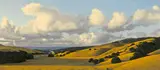David Ligare, Landscape with Stratus Clouds, 1998, oil on canvas