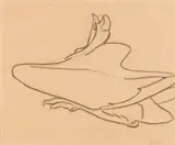 Morris Graves, Wounded Brant
