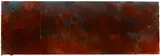 Joe Goode, Untitled (from the Forest Fire series)