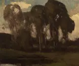 Giuseppe Cadenasso, Chain of Lakes, Golden Gate Park