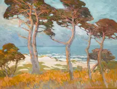 Mary DeNeale Morgan, Cypress at Monterey, gouache on paper
