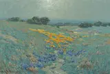 Poppies and lupine by Granville Redmond, oil on canvas, sold Nov 2015