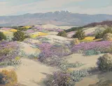 Carl Sammons, Wildflowers, Palm Spring, California, oil on canvas