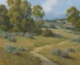 David Chapple, Into summer
