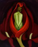 Henrietta Shore, Semi-Abstraction No. 8 (Green Figure Tulip H142), oil on canvas