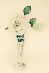 Charles Sheeler, Rose in a Vase, colored pencil and graphite on paper