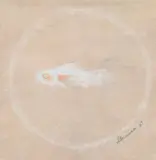 Morris Graves, Minnow
