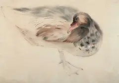Morris Graves, Untitled (Bird), watercolor and gouache on paper laid down on paper