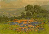 William Franklin Jackson, Wildflowers on rolling hills