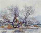 John Frost, Arroyo trees