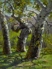 Paul A. Grimm, A stand of sycamores; Two eucalyptus trees; The shade of a tree; Shack by a tree (group of 4), first, second and fourth oil on board; third oil on canvas affixed to board