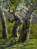 Paul A. Grimm, A stand of sycamores; Two eucalyptus trees; The shade of a tree; Shack by a tree (group of 4), first, second and fourth oil on board; third oil on canvas affixed to board